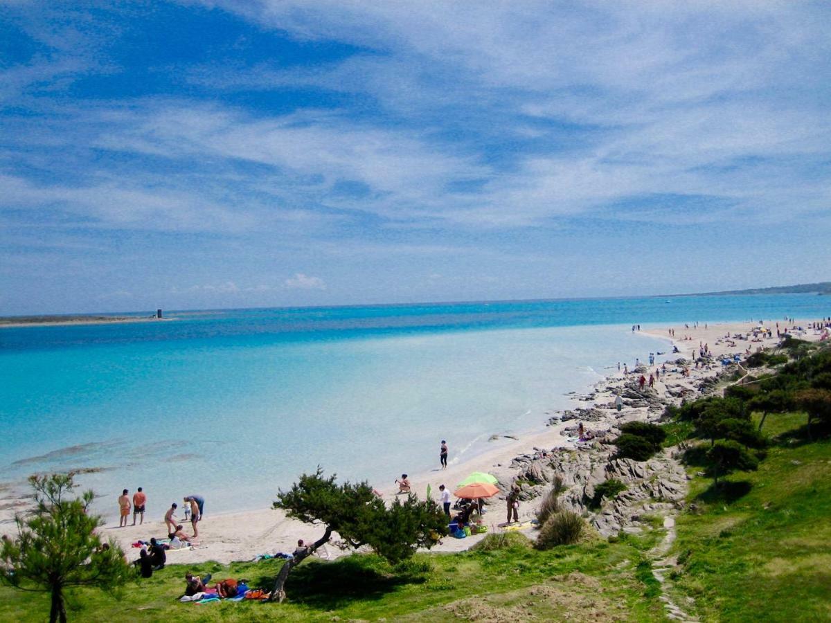 Apartament Victoria 150Mt From Beach Кастельсардо Экстерьер фото